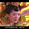 一肖两码免费大公开